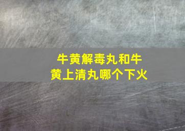 牛黄解毒丸和牛黄上清丸哪个下火