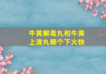 牛黄解毒丸和牛黄上清丸哪个下火快