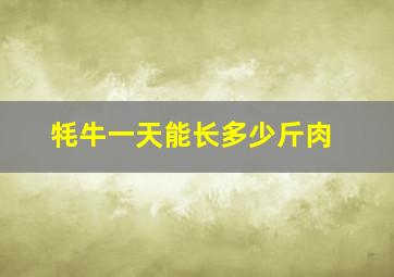 牦牛一天能长多少斤肉