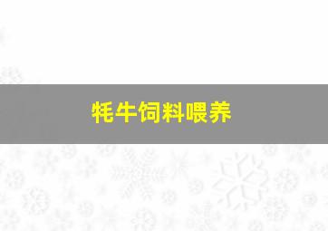 牦牛饲料喂养