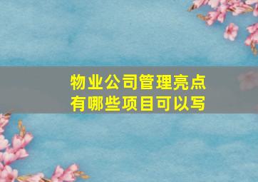 物业公司管理亮点有哪些项目可以写