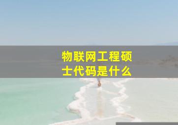 物联网工程硕士代码是什么