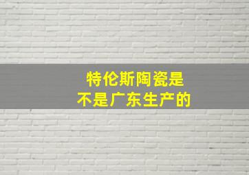 特伦斯陶瓷是不是广东生产的