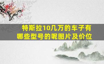 特斯拉10几万的车子有哪些型号的呢图片及价位