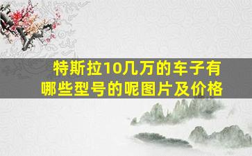 特斯拉10几万的车子有哪些型号的呢图片及价格