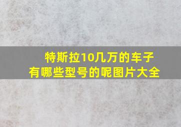 特斯拉10几万的车子有哪些型号的呢图片大全