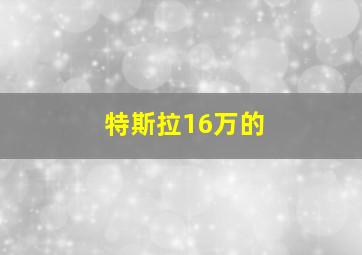 特斯拉16万的