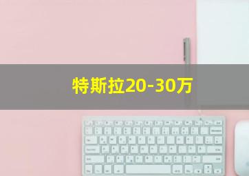 特斯拉20-30万