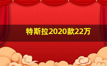 特斯拉2020款22万