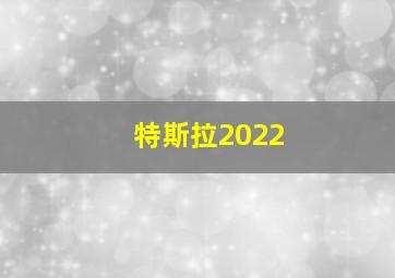 特斯拉2022