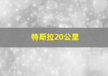 特斯拉20公里