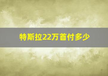 特斯拉22万首付多少