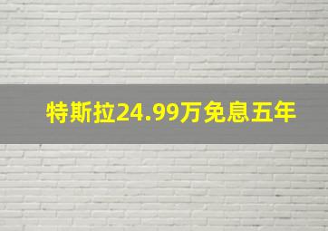 特斯拉24.99万免息五年