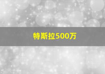 特斯拉500万