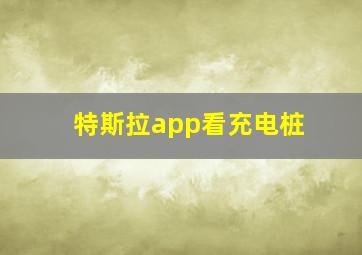 特斯拉app看充电桩