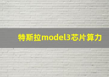 特斯拉model3芯片算力