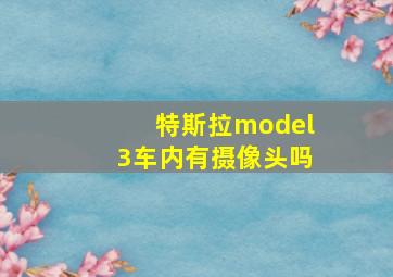 特斯拉model3车内有摄像头吗