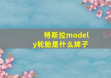 特斯拉modely轮胎是什么牌子