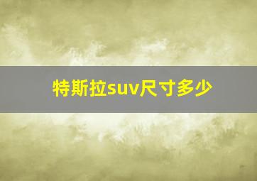 特斯拉suv尺寸多少