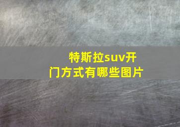 特斯拉suv开门方式有哪些图片