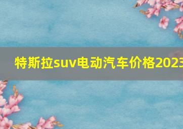 特斯拉suv电动汽车价格2023