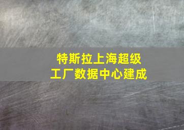 特斯拉上海超级工厂数据中心建成