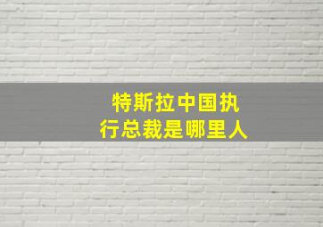 特斯拉中国执行总裁是哪里人