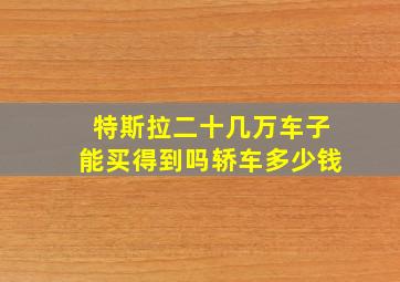 特斯拉二十几万车子能买得到吗轿车多少钱