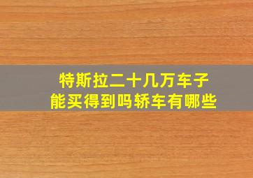 特斯拉二十几万车子能买得到吗轿车有哪些