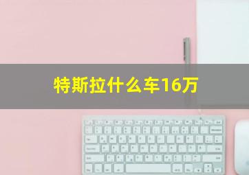 特斯拉什么车16万