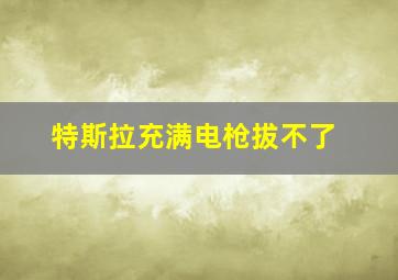 特斯拉充满电枪拔不了