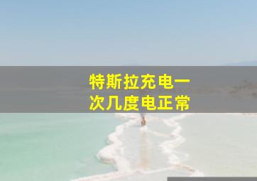 特斯拉充电一次几度电正常