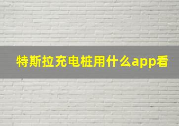 特斯拉充电桩用什么app看