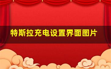 特斯拉充电设置界面图片