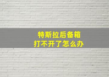 特斯拉后备箱打不开了怎么办