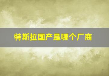 特斯拉国产是哪个厂商