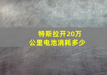 特斯拉开20万公里电池消耗多少