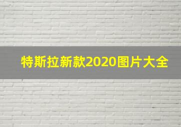 特斯拉新款2020图片大全