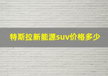 特斯拉新能源suv价格多少