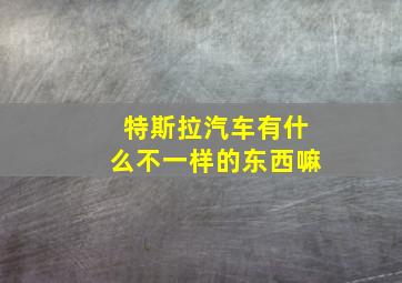 特斯拉汽车有什么不一样的东西嘛