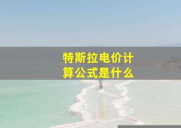 特斯拉电价计算公式是什么