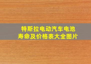 特斯拉电动汽车电池寿命及价格表大全图片