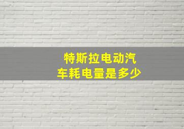 特斯拉电动汽车耗电量是多少