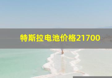 特斯拉电池价格21700