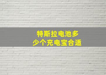 特斯拉电池多少个充电宝合适