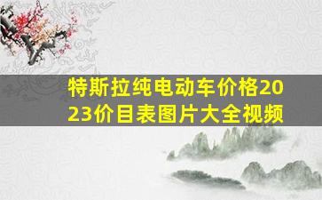 特斯拉纯电动车价格2023价目表图片大全视频