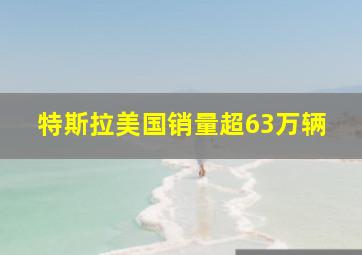 特斯拉美国销量超63万辆