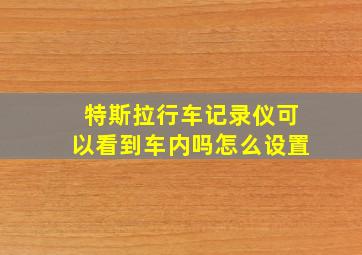 特斯拉行车记录仪可以看到车内吗怎么设置