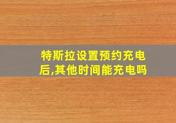 特斯拉设置预约充电后,其他时间能充电吗