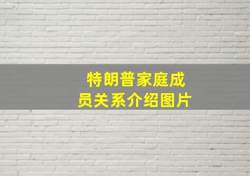 特朗普家庭成员关系介绍图片